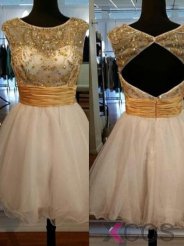 Elegant Scoop Beading Open Back Short Mini Homecoming Dresses Prom Gowns CHHD-70900