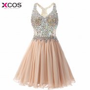 Champagne Cocktail Dress Cute Gilrs 2018 Vestidos Plus Size Sexy Homecoming Dresses Short Robe De Cocktail Gowns