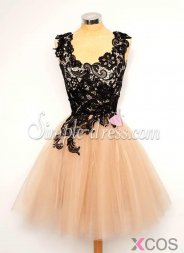 Simple-dress Elegant A-line Black Lace 2015 Short Tulle Homecoming Dresses/Party Dresses TUHD-70823